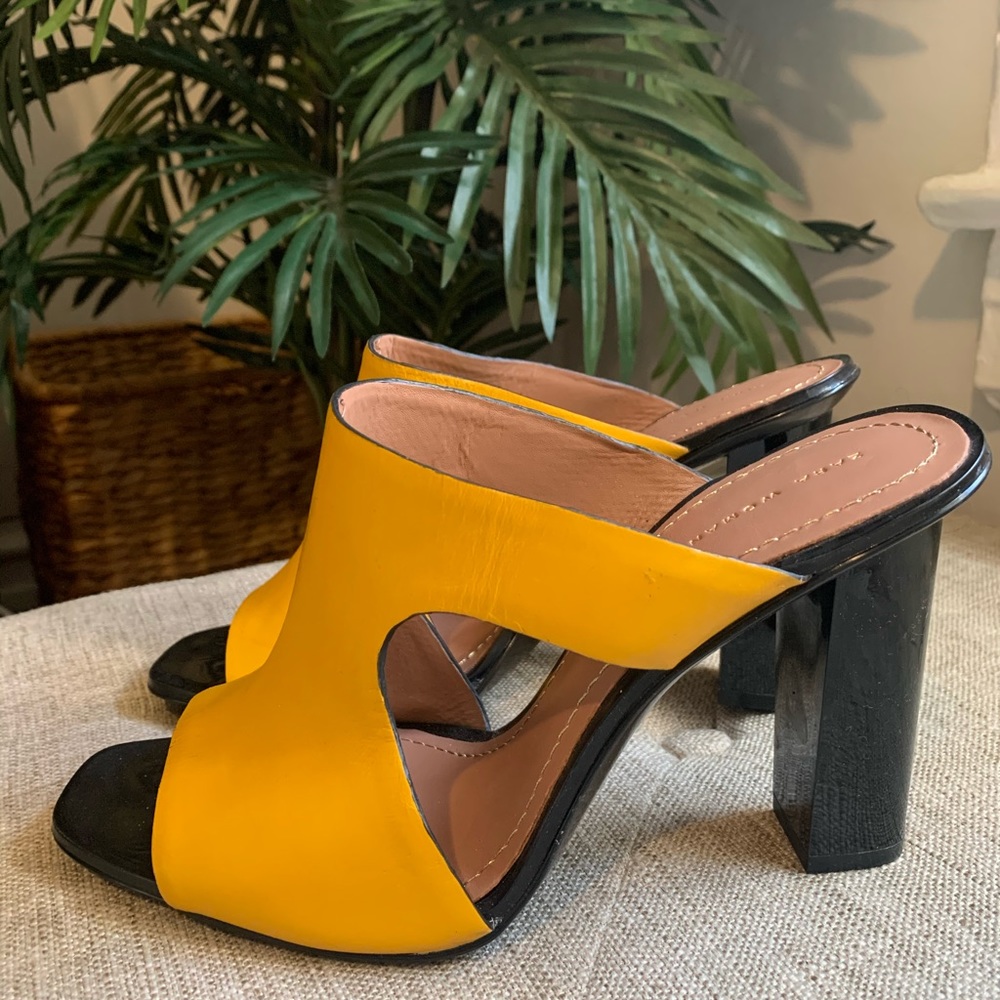 Yellow Zara Mules